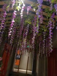 -Cocodemer 产后恢复中心(多伦路店)