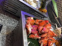 -浦东绿地铂骊酒店-POYA西餐厅(绿地东海岸国际广场店)