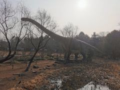 -自然谷恐龙园