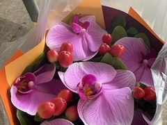 -双季花艺园艺市场(浦东店)