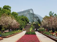 -南山植物园