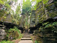 -梭布垭石林景区