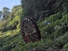 -鼓岭旅游度假区