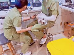 -萌兽医馆·眼科·异宠专科(三里屯店)