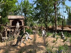 -北京野生动物园