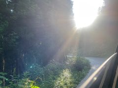 -武陵山森林公园
