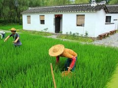 -溱湖国家湿地公园