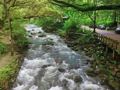 -广州市石门国家森林公园