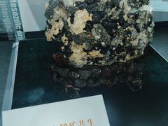 -中国第四纪冰川遗迹陈列馆