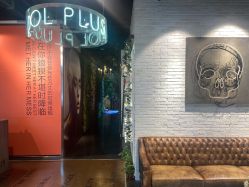 -IDOL-PLUS