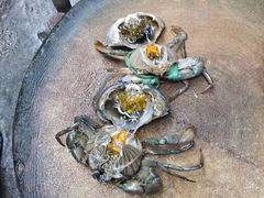 android_upload_pic-皮蛋弟砂锅店(总店)