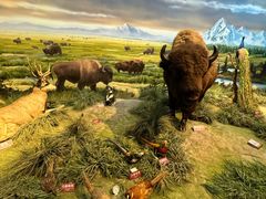 -陕西自然博物馆