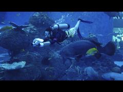 -成都浩海立方海洋公园