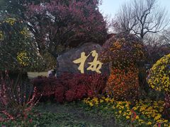 -无锡梅园公园