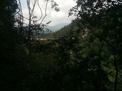 -九龙江国家森林公园