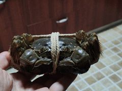 -喜洋洋蟹庄(阳澄湖店)