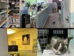 -纳吉亚猫专科动物医院·北北分院
