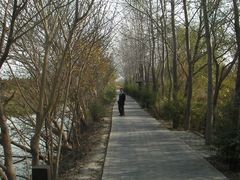 -溱湖国家湿地公园