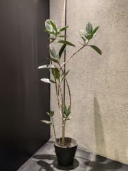 -INSTYLE·SALON