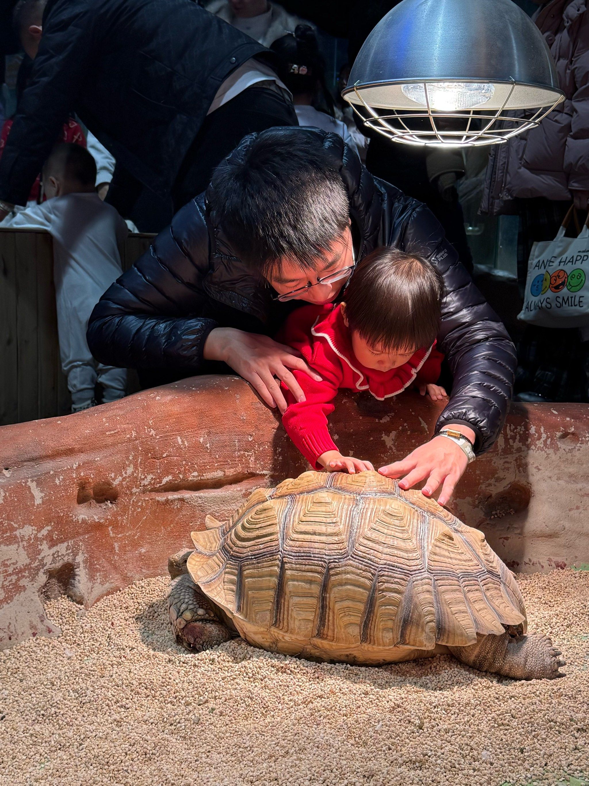 盘锦超度宠物-宠物绝育价目表