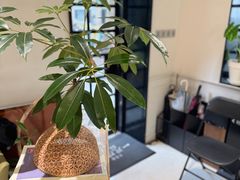 -一尺花园(安和花园店)