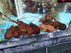 -紫阳海鲜楼·传承闽味(长乐路总店)