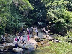 -少华山国家森林公园
