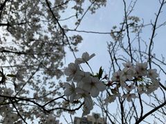 -苏州河梦清园环保主题公园