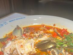 -坛宗剁椒鱼头(河西王府井店)