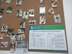 -中国农业大学动物医院