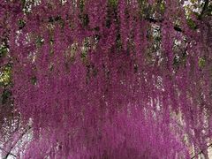 -嘉兴清池酒店温泉