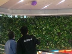 -鹏欣水游城