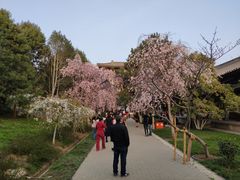 -西安青龙寺遗址景区
