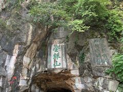 -椿记烧鹅(叠彩店)