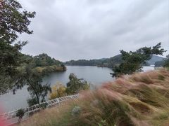 -华凌山庄·隐湖栖