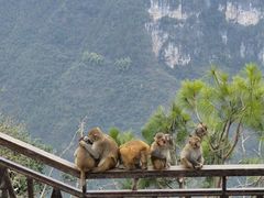 -重庆云阳龙缸景区
