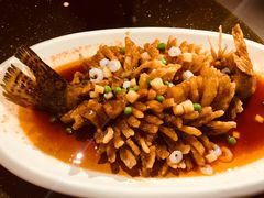 -扬州狮子楼·非遗淮扬菜(总店)