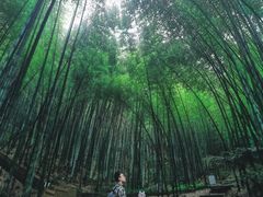 -敬亭山风景名胜区