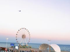 -奉贤海滩