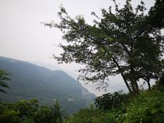 -铁山坪森林公园