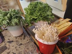 -金石老面坊·渔家菜(金石滩店)