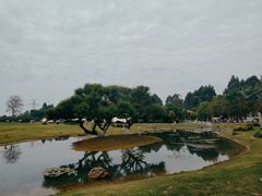 -夏河溪乡野公园