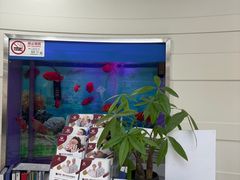 -雅悦齿科(顾村公园店)
