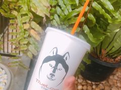 -TrueLove @ Neverland (Husky Cafe)