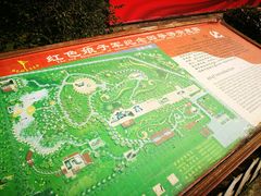 -红色娘子军纪念园