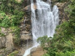 -海南热带雨林国家公园吊罗山景区