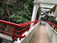 -香港大学