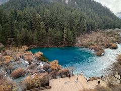 -如意林卡藏餐吧 (九寨沟店)