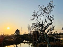 -王借岗森林公园