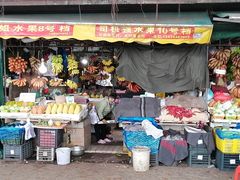 -大湾区中央湿地公园-十九涌